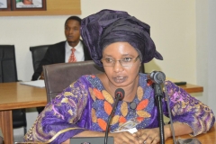 Dr.-Victoria-Enape-President-of-the-Association-of-Forensic-and-Investigative-Auditors-AFIA