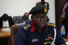 Commandant-General Nigeria Security and Civil Defence Corps, Dr. Ahmed Abubakar Audi, mni