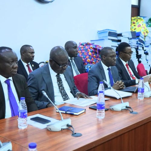 WhatsApp Image 2026-02-11 at 19.11.07